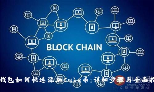 TP钱包如何快速添加Cube币：详细步骤与全面指南