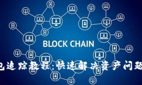 全面解析TP钱包追踪教程：快速解决资产问题、锁定交易信息